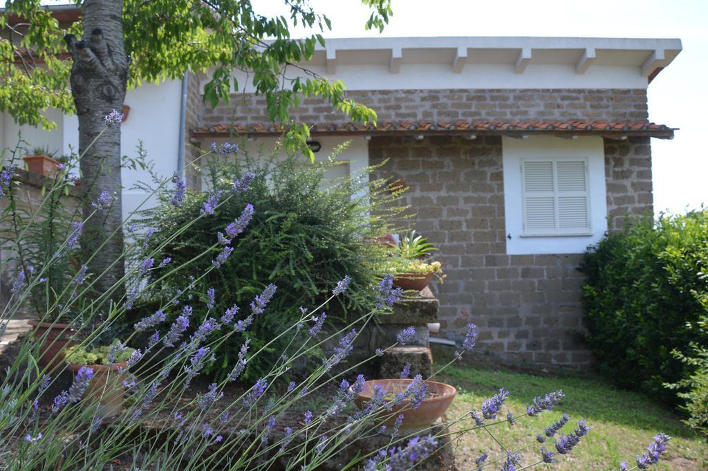 Tenuta Di Pontesodo Montalto di Castro Kültér fotó