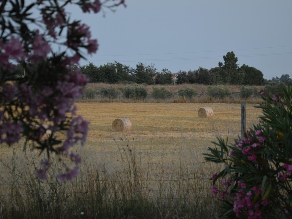 Tenuta Di Pontesodo Montalto di Castro Kültér fotó