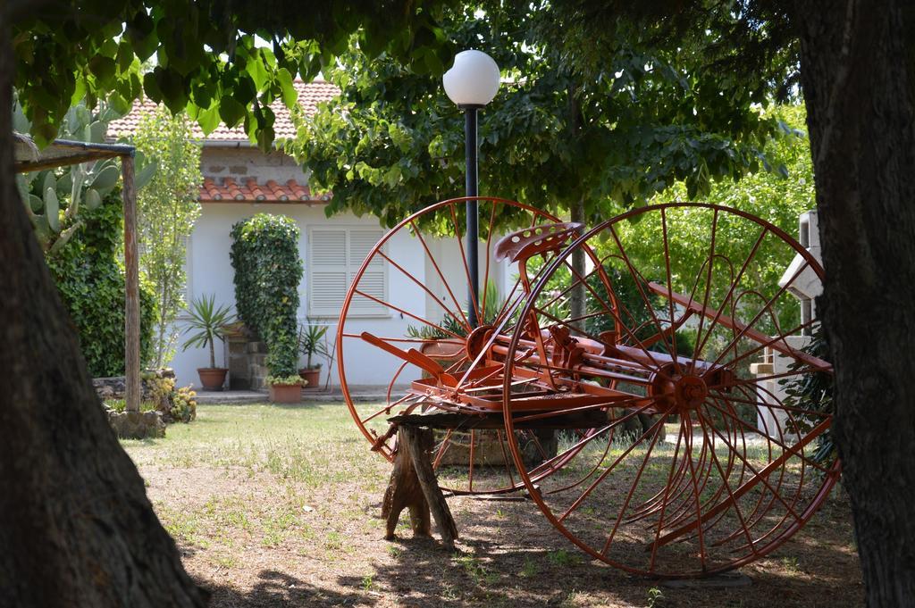 Tenuta Di Pontesodo Montalto di Castro Kültér fotó