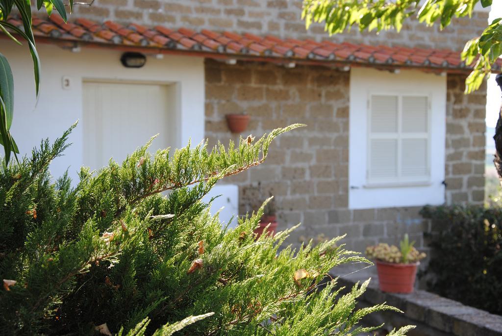 Tenuta Di Pontesodo Montalto di Castro Kültér fotó