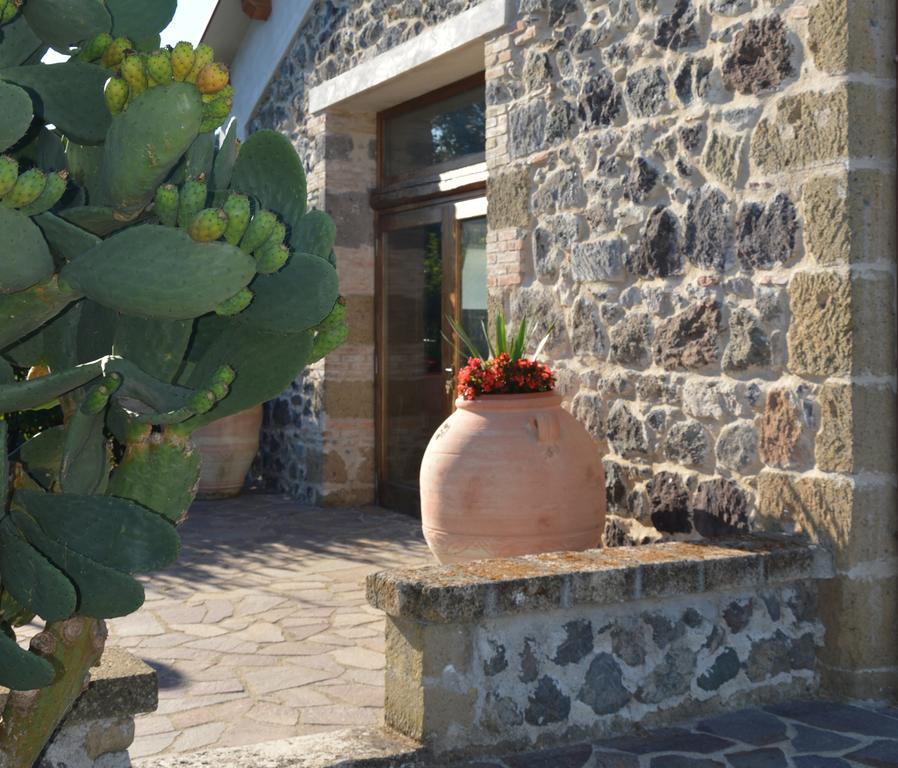 Tenuta Di Pontesodo Montalto di Castro Kültér fotó