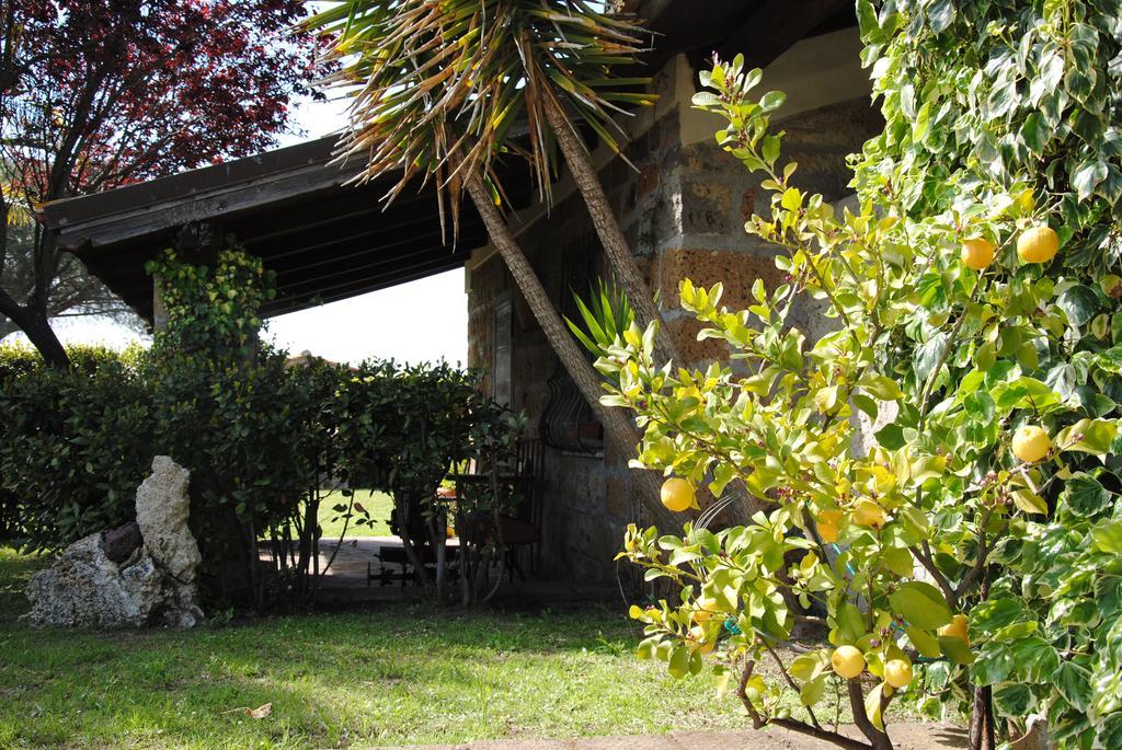 Tenuta Di Pontesodo Montalto di Castro Kültér fotó