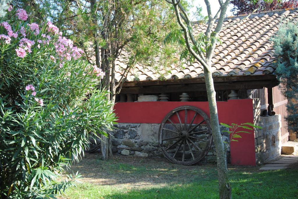 Tenuta Di Pontesodo Montalto di Castro Kültér fotó